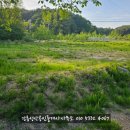 강릉성산 공인중개사사무소 이미지