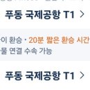 20분만에 비행기 환승 가능해??? 이미지