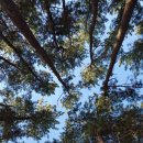 장사해수욕장(주차장 옆) | 강아지와 함께한 장사해수욕장 캠핑한 여름휴가 이야기 (장사해수욕장 야영장, 주차,샤워장,차박)