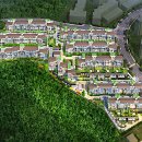 TH메디컬 이미지