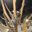 코젤병원 | 대전 코젤병원 유성점 첫 성장검사 후기 48개월