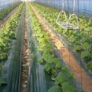 해신축산 이미지