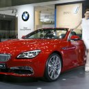 월드카써비스 이미지