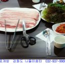 나들이쉼터 티스토리