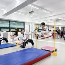 용인대 최고 태권도 이미지