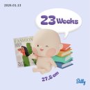 이마트24 상무화원점 | [임신 23~26주차] 임산부 일상 (임당검사• 도쿄 태교여행 • 아기방꾸미기 • 임당재검)