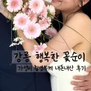꽃순이 | 강릉 행복한 꽃순이 야외 스냅 촬영 가성비 부케 추천 내돈내산 후기