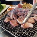 소나무향기 이미지