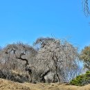 대영행정사무소 이미지