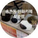 보물썸 이미지