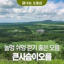 관대 사슴 목장 | [탐나는보물섬]큰사슴이오름