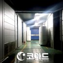 선두기업