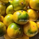 압화(중급) 이미지