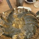 오늘도산호숯불아나고