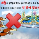 개들의성 이미지