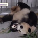 이윤헤어클럽 이미지
