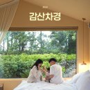 하이재 휴양펜션 | 제주 서귀포 감성숙소추천 감산차경 자연 속 예쁜 풀빌라 독채 펜션