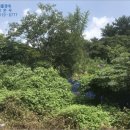 시묘보건진료소 이미지