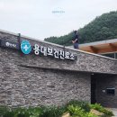 인제군북면용대보건진료소 네이버블로그
