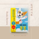 강아지 봉봉 이미지