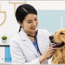 아담스펫 강아지분양 고양이분양 강남점 이미지