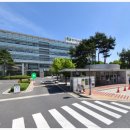 유성대로 1312번길 이미지