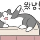 미아풀빌라 이미지