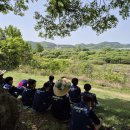 창녕우포늪청소년습지기자단1-성산중학교 1학년,우포늪 봄풍경에서 만난 버드나무와 자운영 이미지