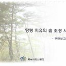 산림청 - 양동치유의 숲 190만평 조성사업 ...양동면 이미지