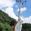 간척3리 이미지