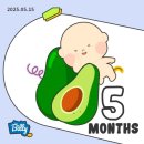 구봉로 | 임신일기 ⑥ 16주 쌍둥이 2차 기형아검사 결과 성별 후기ㅣ임산부일상ㅣ검사시기 비용ㅣ17주차 증상