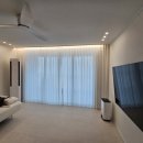 금산느티나무 이미지