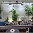 명성안마원 이미지