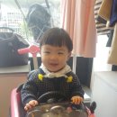 마망엘리펀트 이미지