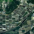 신세계부동산중개 이미지