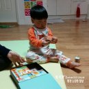상상력과 창의력이 폴폴 아이블럭추천 :: 원목교구 쁘띠엘린 디벨플래닛 사파리블럭
