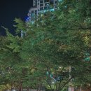 마로 카 마스타 | 30대 생의 첫 차 기아 스포티지 하이브리드 NQ5 2023년형 계약 후기