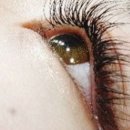 란 뷰티샵