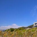 소노리베 이미지