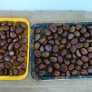 장군산 둘레길 이미지