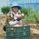 소연농장 이미지