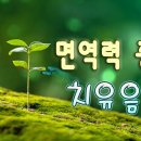 마음이 안정되고 기분 좋아지는 음악 🐛하루10분 만병을 치료 해주는 힐링 명상 기치료 음악 및 영상 - 아침명상음악 - 아침음악 - 이미지