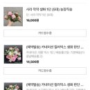 힐링플라워 이미지