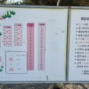 알멕스리조트 티스토리