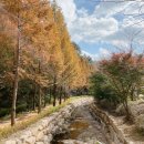 용소웰빙공원(입구) 이미지