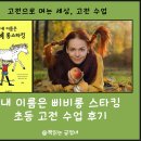 삐삐롱스타킹 | 내 이름은 삐삐롱스타킹 초등 고전 수업 후기 고여세