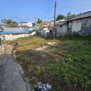 보성남초교, 보성초 이미지