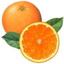 필라테스C 이미지