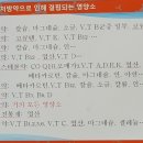 포라이프센타