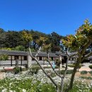 가화쌈지숲 생활체육시설 | 강릉 여행) 300년 전통의 고택 강릉 선교장